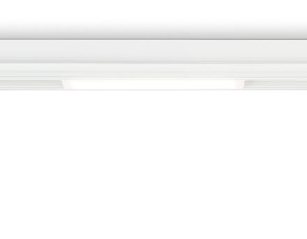 Светильник светодиодный диммируемый для шинопровода Magnetic 220V GL1261 WH белый IP20 9W 3000K-6400K 120° 232*25*42 (Без ПДУ)