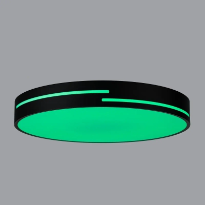 Citilux Купер Лайн CL72470GL1 LED RGB Светильник с пультом Чёрный