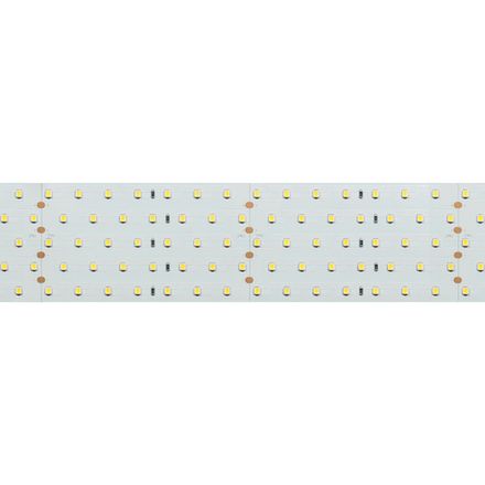 Светодиодная лента RT 2-2500 24V White6000 5x2 (2835, 875 LED, LUX) (Arlight, 36 Вт/м, IP20)