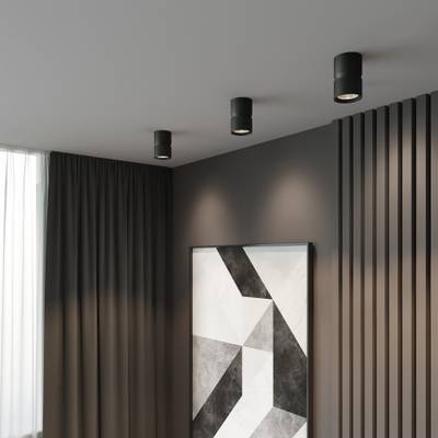 Светильник накладной светодиодный Kayo 12W 4000К чёрный 25049/LED