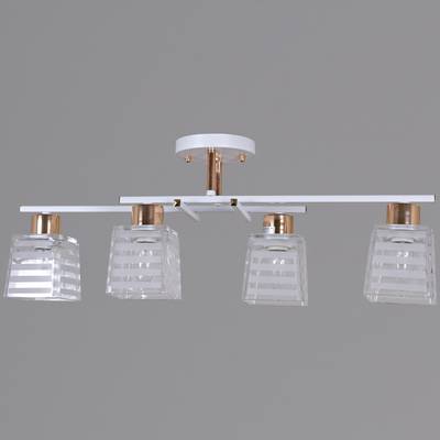 09260-0.3-04 WH+FG светильник потолочный