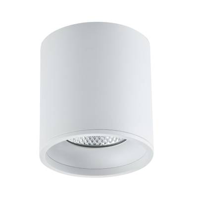 ST165.532.12 Светильник потолочный Белый LED 1*12W 3000K 840Lm Ra>90 36° IP44 D80xH85 85-265V