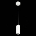 ST600.533.10 Светильник подвесной Zoom Белый LED 1*10W 3000K 1 000Lm Ra>80 15-60° IP20 D59xH130 170-240VV