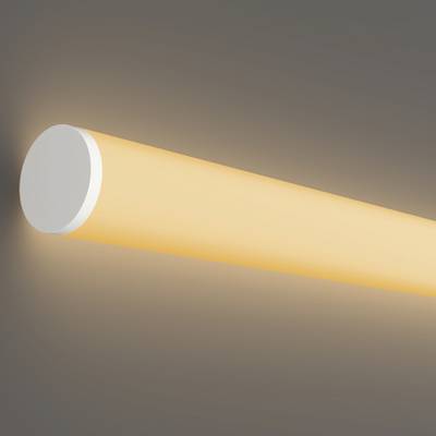 Гибкий неон Nemo S D25 24В 20Вт/м 3000К IP65 5м, 20306. TM Maytoni