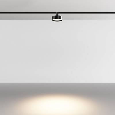 Трековый светильник Zon 3000К 12Вт 100°, TR204-1-12W3K-B. TM Maytoni
