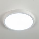Citilux Бейсик CL738180V Светильник накладной Белый