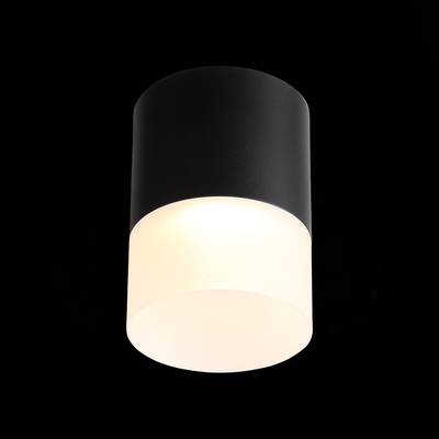 ST100.402.15 Светильник потолочный Черный LED 1*15W 3000K 1 170Lm Ra&gt;80 120° D118xH150 170-240VV