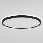 Citilux Basic Line CL738321EL RGB Светильник с пультом Чёрный