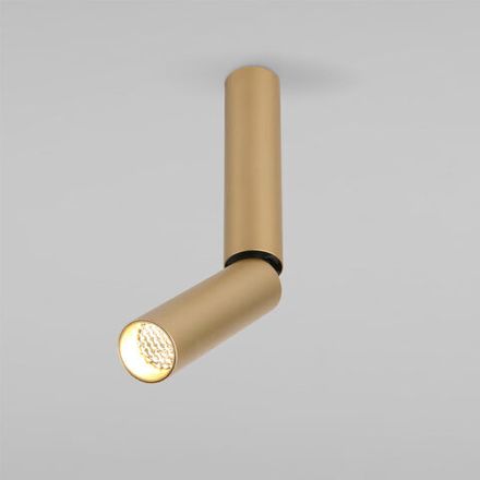 Накладной светодиодный светильник Pika 25029/LED 6W 4200K золото