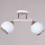 06117-0.3-02 WH+FG светильник потолочный