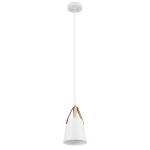Подвесной светильник Arte Lamp THOMAS A7032SP-1WH, 1хE27