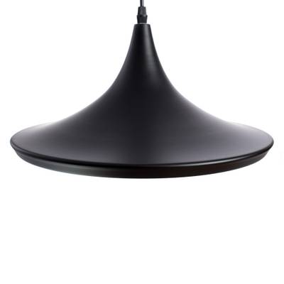 Подвесной светильник Arte Lamp CAPPELLO A3406SP-1BK, 1хE27