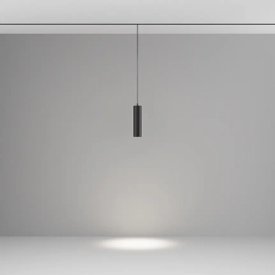 Трековый подвесной светильник Фокус / Focus Led Exility 2700-6000K 12Вт 36° Dim Smart, TR041-4-12W3K-M-DS-B. TM Maytoni
