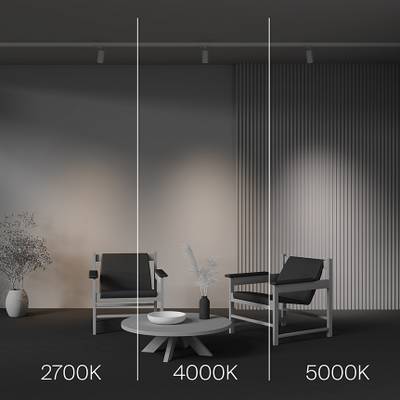 Трековый светильник Focus Led Trinity 2700-5000K 12Вт 36°, TR197-3-12WCCT-M-W. TM Maytoni