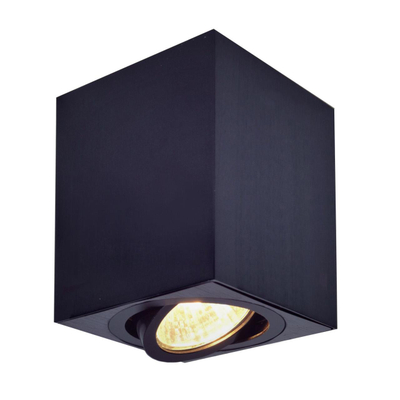 Citilux Дюрен CL538213 Светильник накладной поворотный Чёрный