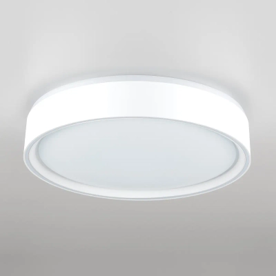 Citilux BOSS CL751250G LED RGB Светильник с пультом Белый