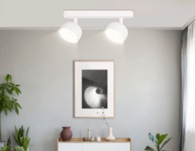 Светильник накладной TN71011/2 WH белый GX53/2 max 12W 260*80*90