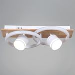 29560-0.3-2+2 WH+WOOD светильник потолочный