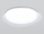 Светильник светодиодный потолочный FZ1605 FR матовый IP20 60W 5000K 510*100 (Без ПДУ)
