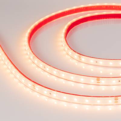 Лента герметичная RTW-PS-A80-10mm 24V Warm2700 (6 W/m, IP67, 2835, 5m) (Arlight, 6 Вт/м, IP67)