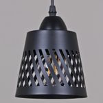 06172-0.9-01 BK светильник потолочный
