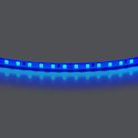 420515 Лента LIGHTSTAR LED 24V 12W 120leds/M 1600 LM/M синий IP20 1шт = 5м