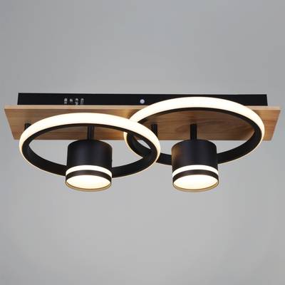 29560-0.3-2+2 BK+WOOD светильник потолочный