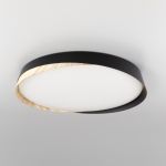 Citilux BONNY CL754451G LED RGB Светильник с пультом Чёрный + Клён