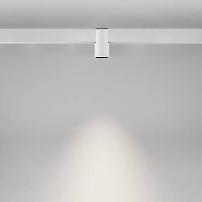 Трековый светильник Alfa Exility 4000K 7Вт 50°, TR122-2-7W4K-W. TM Maytoni