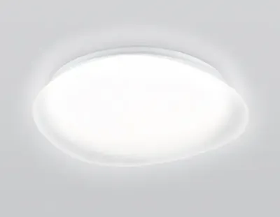 Светильник светодиодный RGB с пультом  FZ1610 FR матовый IP20 40W 3000-6500K+RGB 410*100 (ПДУ ИК)