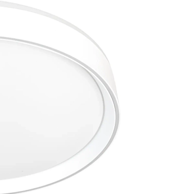 Citilux BOSS CL751350G LED RGB Светильник с пультом Белый