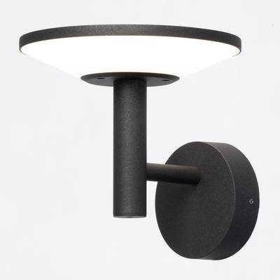 Citilux Dorn CLU05W LED Уличный настенный светильник Графит