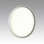 7631/DL PALE SN 160 Светильник пластик/светло-серый LED 48Вт 3000-6300K D390 IP43 пульт ДУ SAVI