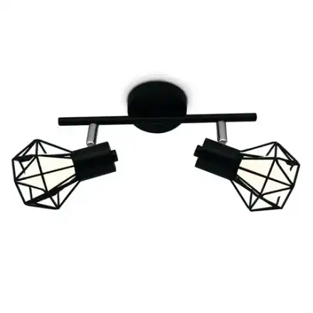 Настенно-потолочный спот в стиле лофт TR8621/2 BK/CH черный/хром E27*2 max 40W 260*91*175 (Уценка по качеству)