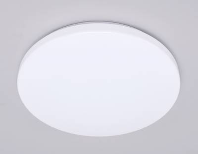 Потолочный светодиодный светильник FZ1009 WH белый 21W 6400K D320*55 (Без ПДУ)