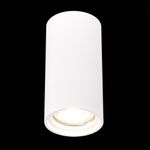 ST155.502.01 Светильник потолочный Белый GU10 1*50W IP20 D70xH140 180-240V Без ламп