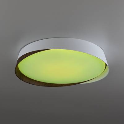 Citilux BONNY CL754350G LED RGB Светильник с пультом Белый+Венге