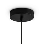 Подвесной светильник Irisa FR5593PL-01B1, G9х1. TM Maytoni