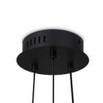 Подвесной светильник Citrus FR5398PL-L6B, LED. TM Maytoni