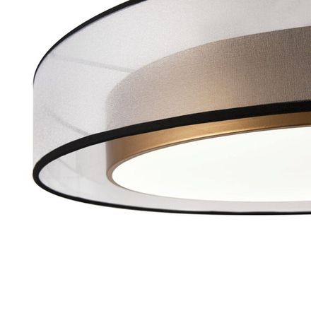 Потолочный светильник Zoticus FR6005CL-L48G, LED. TM Maytoni