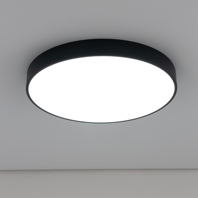 Citilux Купер CL72495G1 LED RGB Светильник с пультом Чёрный