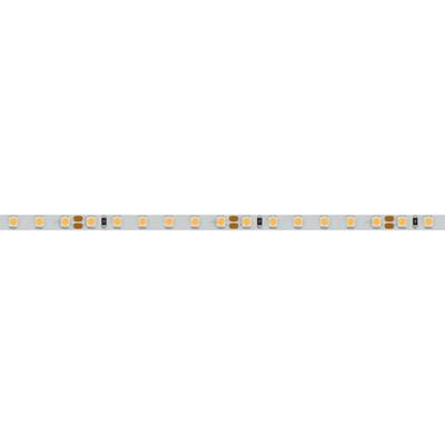 Светодиодная лента RT 2-5000 24V Cool 15K 5mm 2x (3528, 600 LED, LUX) (Arlight, 9.6 Вт/м, IP20)