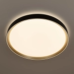 Citilux BOSS CL751451G LED RGB Светильник с пультом Чёрный с Золотом