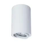Точечный накладной светильник Arte Lamp SENTRY A1560PL-1WH, 1хGU10