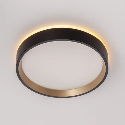Citilux ETALON CL750181 LED Светильник с подсветкой Чёрный+Золото