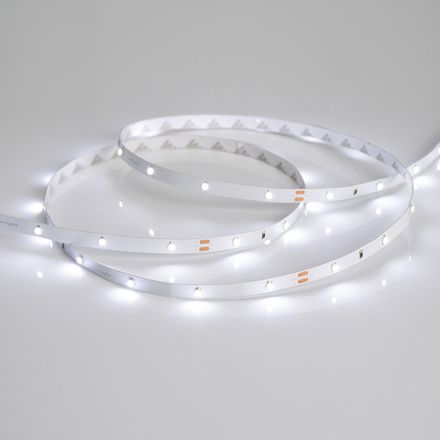 Светодиодная лента RT 2-5000 24V White6000 0.5x (3528, 150 LED, LUX) (Arlight, 2.9 Вт/м, IP20)