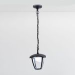 Citilux CLU04P LED Уличный подвесной светильник Чёрный