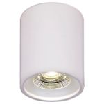 81117-9.5-001RT LED10W WT светильник точ. накладной