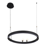 Подвесная люстра Slinga 4474-1P, LED*58W + 2*LED*3W, 1860LM, 3000-6500K. ТМ F-Promo