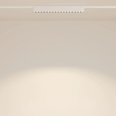 Трековый светильник Точки / Points Radity 3000K 16Вт 36°, TR082-1-18W3K-M-W. TM Maytoni